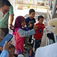 Razia Rimba Zoo Have Fun