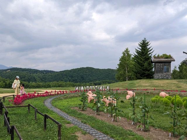 【北海道、最高に楽しい公園】ソフトクリームがめちゃ美味しい