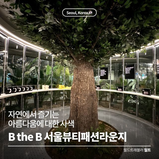 자연에서 즐기는 아름다움에 대한 사색 🌳 B the B 서울뷰티패션라운지