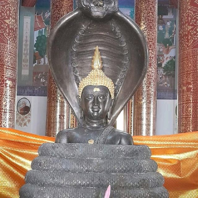 วัดป่าดาราภิรมย์ เชียงใหม่