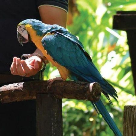 Wild Wonders at Lok Kawi Wildlife Park!