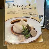 新属新種もりだくさん！期間限定 恐竜博2023 大阪市立自然史博物館