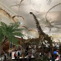 台灣博物館 古生物館 超大恐龍化石 互動導覽 好玩好充實