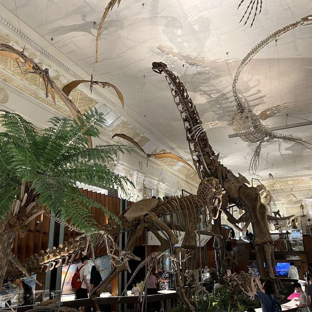 台灣博物館 古生物館 超大恐龍化石 互動導覽 好玩好充實