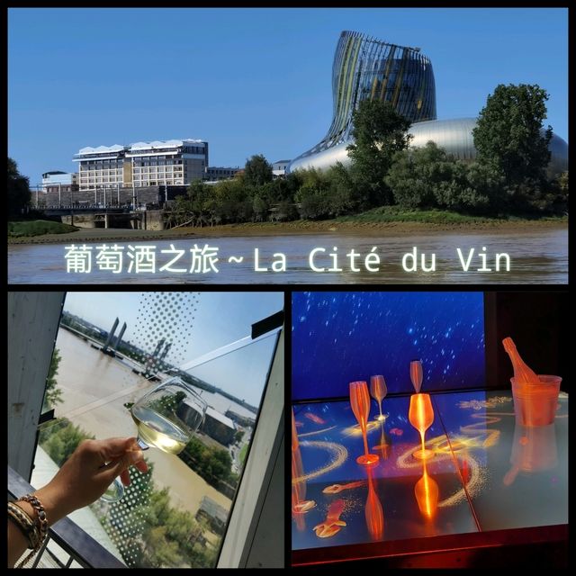 參觀波爾多葡萄酒博物館