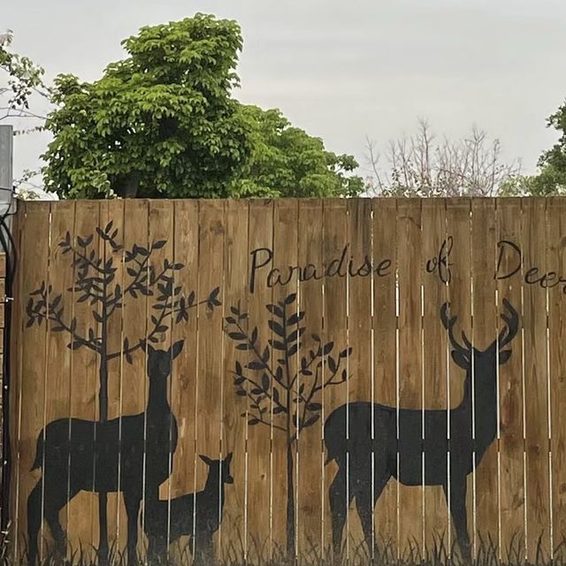 鹿境梅花鹿生態園區！與可愛的鹿傳情共舞🦌💃🌳
