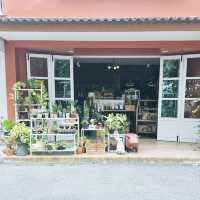 ร้านขจี คาเฟ่