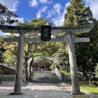 神秘古社：函館八幡宮！⛩️🌸🙏