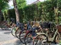 Greenery at Bel Marina Hoi An