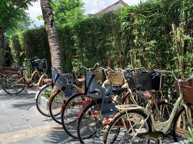 Greenery at Bel Marina Hoi An