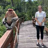 Upclose with the Proboscis Monkeys