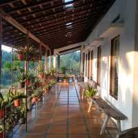 eco resort with great atmosphere