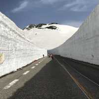 Tateyama Kurobe Alpine Route