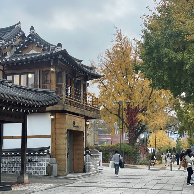 Pretty Autumn Lane a must visit in Seoul