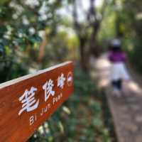 都市中的高登好去處