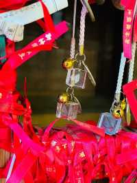 【山形県/出羽三山神社】2023年トライしてみてよかった！石段詣
