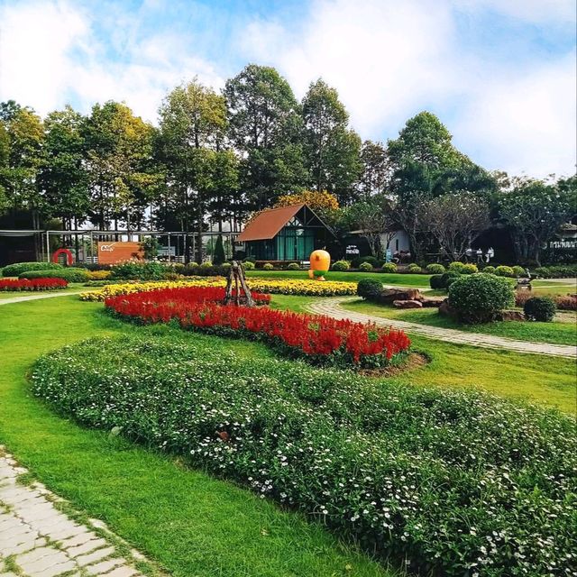 ดอกทานตะวันบานโครงการพระราชดำริ เขาชะงุ้ม ราชบุรี