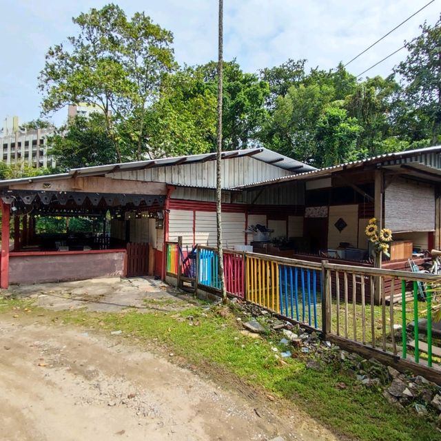 Singapore's Last Kampong 