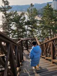 쏠비치 산책길의 환상적잇 바다뷰