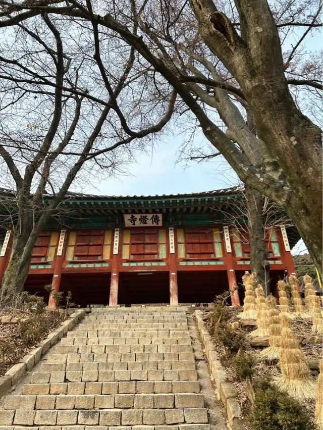 마음의 평화를 얻고 싶다면 인천 ‘전등사’ 🪷 다녀오기