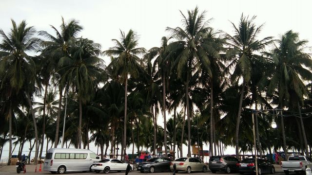 หาดวอนนภา
