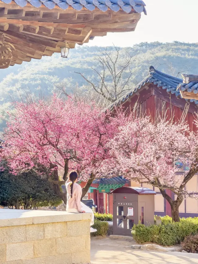 조계종 통도사 티켓 할인, 운영 시간, 후기 [2025년] | Trip.com