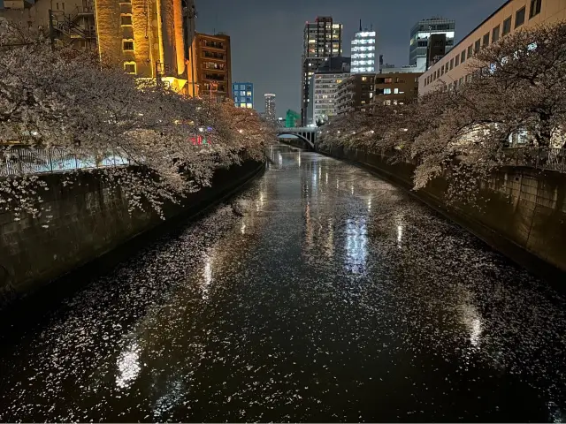 Beautiful place not to miss for Sakura !!! 