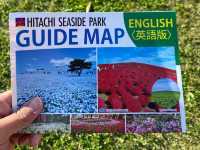 Kochia at Hitachi Seaside Park