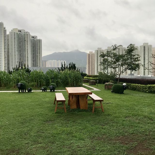 FARM TOGETHER-SKY FARM