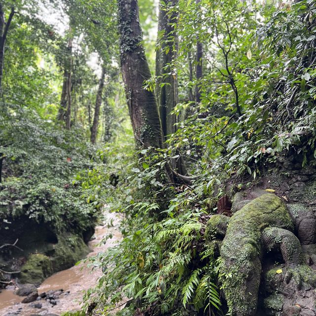 Ubud 聖猴公園