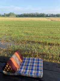 บ้านพักเรือนไทยวิวทุ่งนา @ครัวกางนา สุพรรณบุรี 🏕️