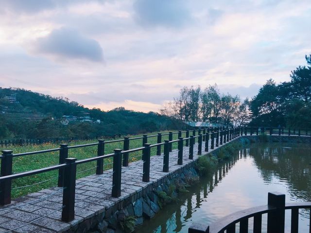 台北必去景點🐱貓空泡茶🍵