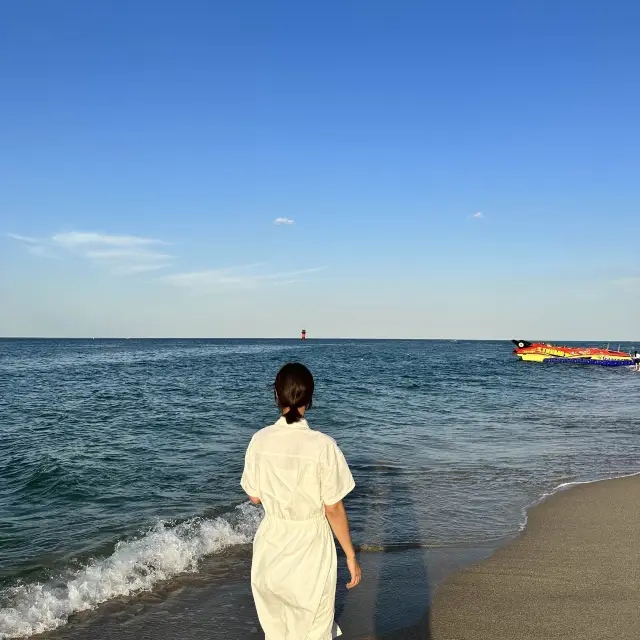 낮이나 밤이나 좋은 강릉🌊