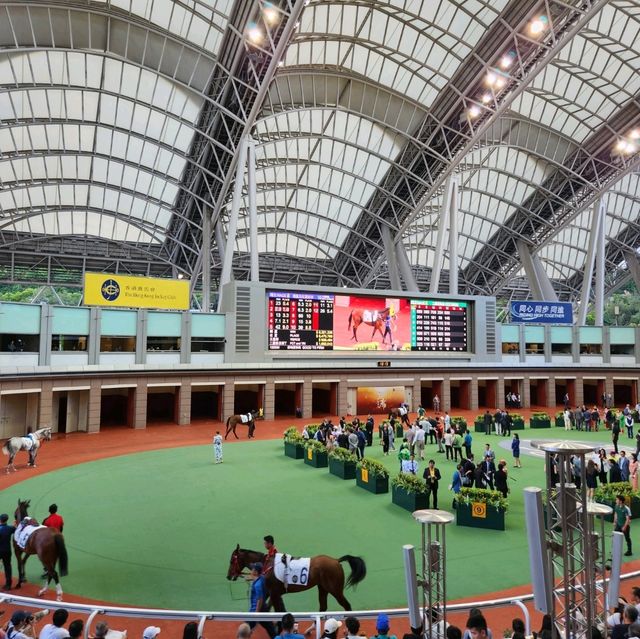 香港必黎景點-沙田馬場一日體驗游