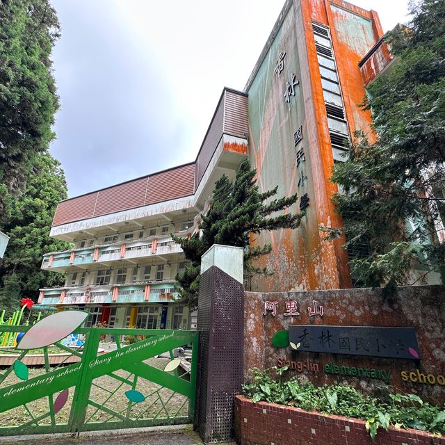 阿里山 - 享受森林浴、淨化心靈