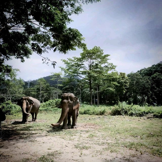 มุมสบาย ... เกาะช้าง ที่มีช้าง 