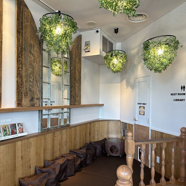 📍猫カフェMOCHA原宿店/東京