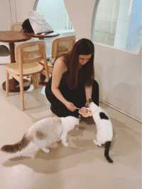 觀塘區～抵玩👍🏻可愛嘅貓貓Cafe🐱🐈