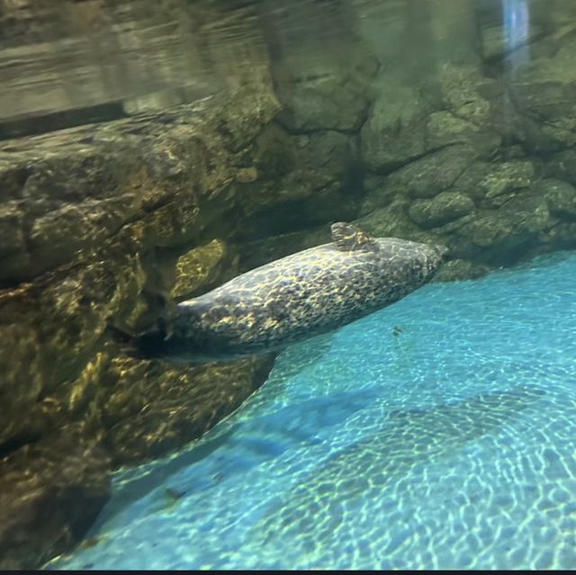 海洋奇蹟解密！屏東國立海洋生物博物館🌊🔬🐚