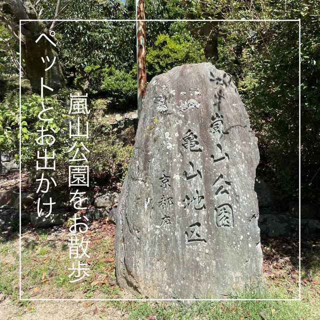 【ペットとお出かけ】嵐山公園をお散歩！