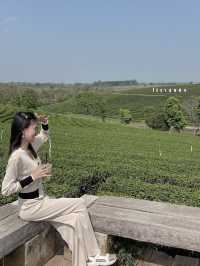 คาเฟ่วิวหลักล้านในไร่ชาฉุยฟง🍵🌱