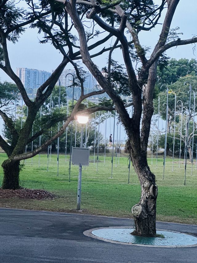 💫Bedok Reservoir💫neighbourhood leisure park
