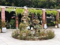 台北｜🌹💐 Taipei Rose Garden 臺北玫瑰園🪴🎋散步賞花花草草