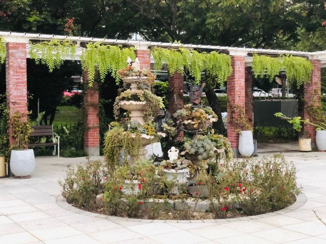 台北｜🌹💐 Taipei Rose Garden 臺北玫瑰園🪴🎋散步賞花花草草