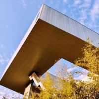 Autumn in Sifang Art Museum China