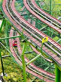 One Day At Sun World Ba Na Hills🎢🇻🇳