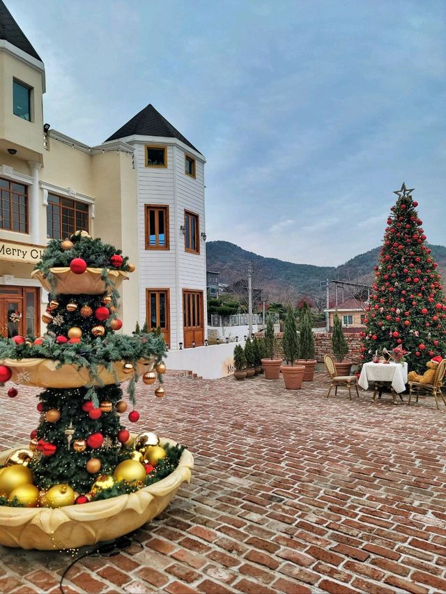 실내트리도 따뜻한 감성 한가득인 거제도 카페🎄✨️