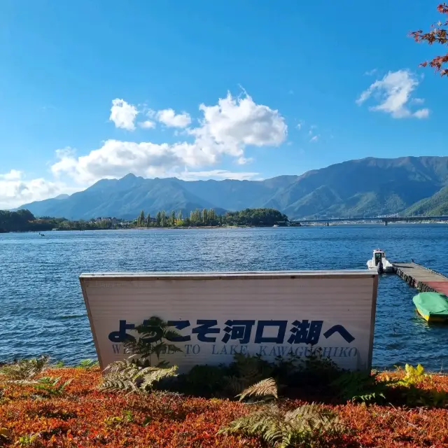 Good To Explore Lake Kawaguchi
