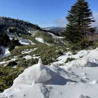 雪見温泉を楽しもう！冬の万座温泉