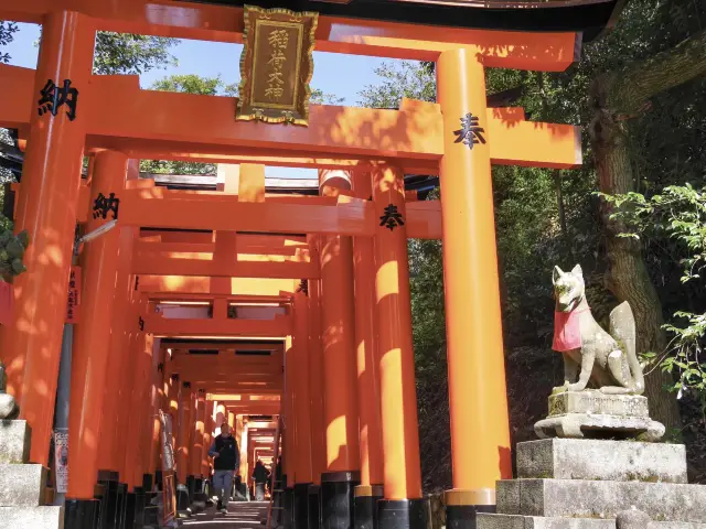 【京都市】無数の鳥居をくぐり山頂へ⛩